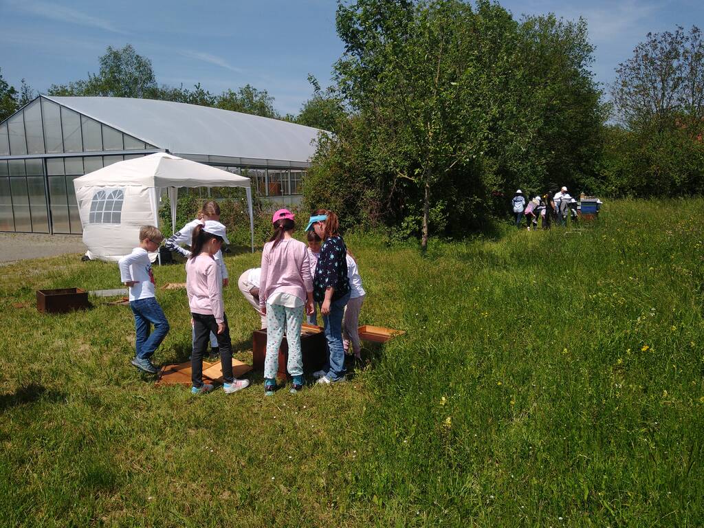 Adelheid führt Schulklasse oderKindergarten auf die Streuobstwiese